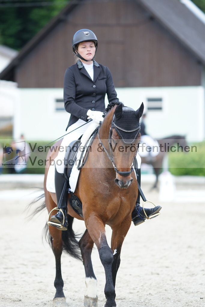 DSC05332 | equestrian-live-com