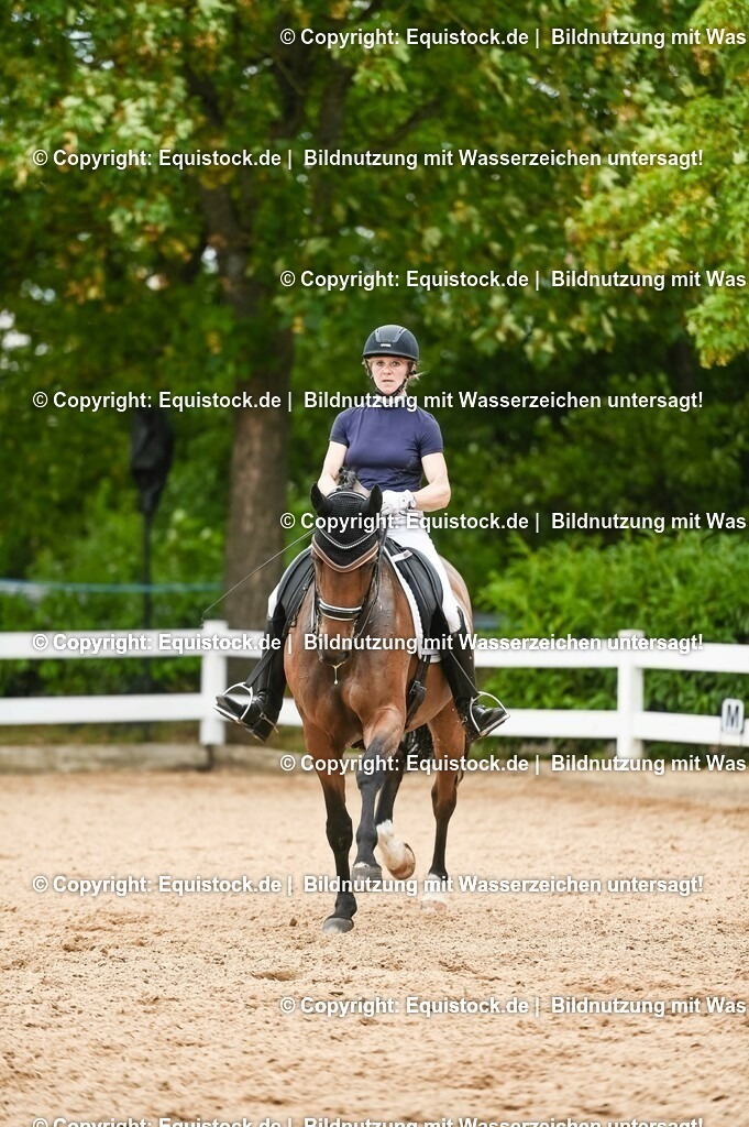 20230716_01_Dressurprüfung Kl.M_0432 | equistock