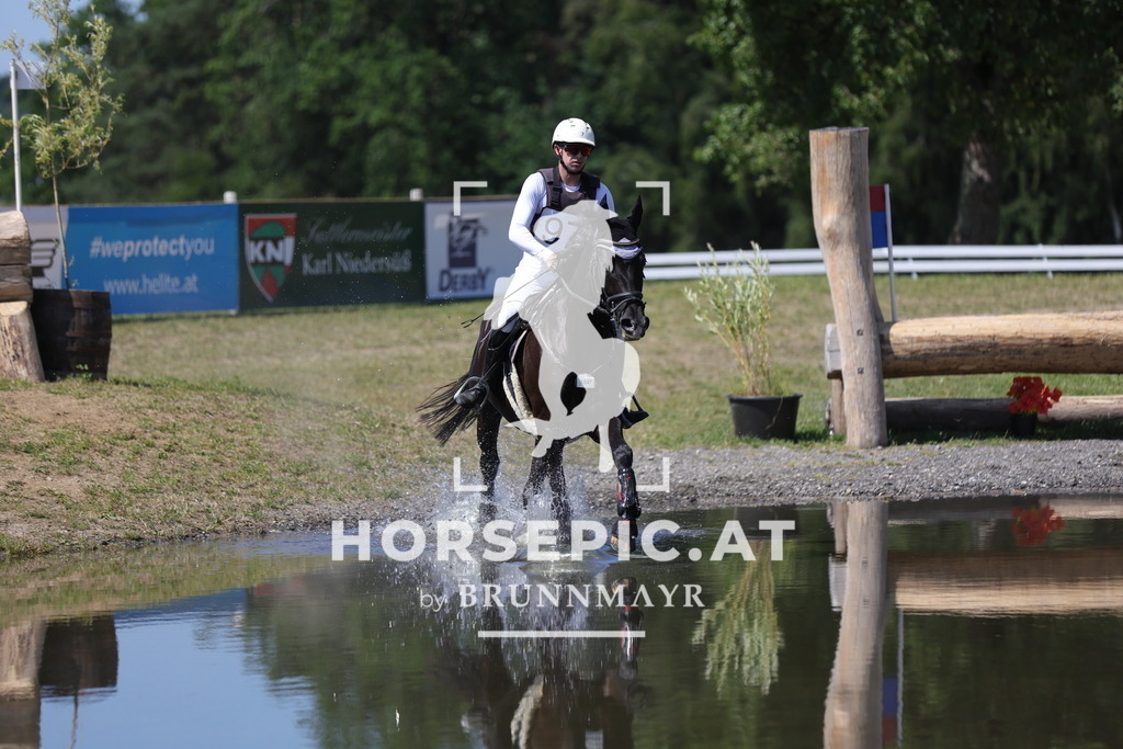 0P6A5451 | Willkommen bei Brunnmayr - Design & Fotografie – Ihrem Spezialisten für Reitturniere und Pferdeveranstaltungen in Oberösterreich, Salzburg und Bayern! Seit über 17 Jahren sind wir leidenschaftlich dabei.