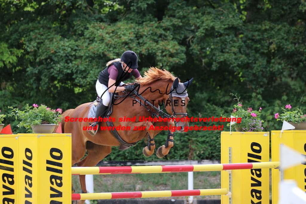 IMG_0912 | lmwpictures - Realisiert mit Pictrs.com