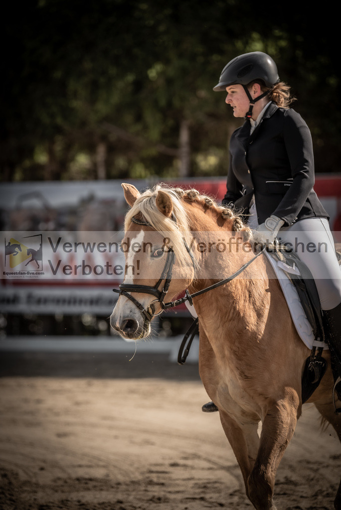 DSC_8665 | equestrian-live-com