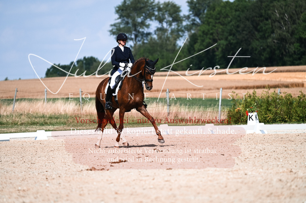 DSC_3185 | Pferde- und Turnierfotografie in Westsachsen. Pferdeportraits, Auftragszeichnungen und intuitive Kunst.