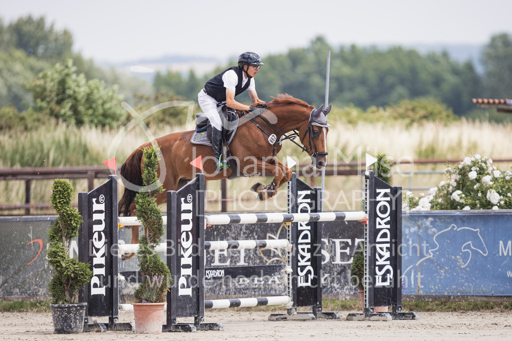 250628_PfSpTa_Youngster-M2-359 | Deine schönsten Turniermomente als professionelle Fotos! Entdecke hochwertige Pferdesport-Fotografie im Online-Shop. Jetzt Fotos finden & bestellen!