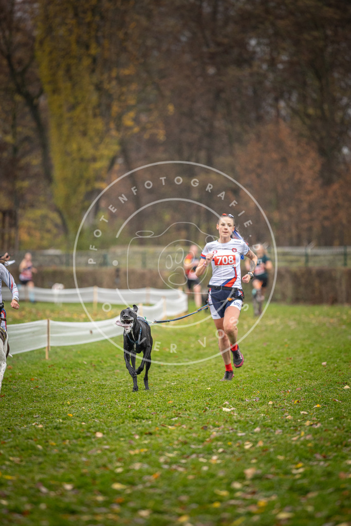 CaniXpix_DV3A9084 | Hundefotografie, Tierfotograf, Pfotenfotografie, Fotoshooting Hund, Hunde Portrait, Hundesport, Hundeportraits, Heideshooting, Hunde, Sportfotograf, Hundefotograf, Turnierhundsport, THS,  - Realisiert mit Pictrs.com