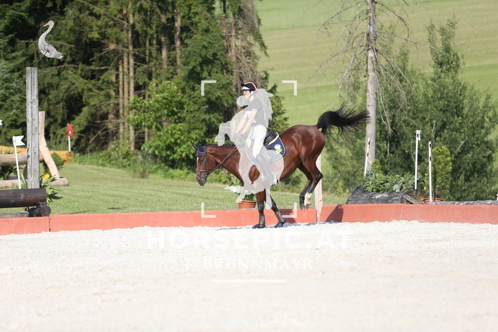 DL2Q3216 | Willkommen bei Brunnmayr - Design & Fotografie – Ihrem Spezialisten für Reitturniere und Pferdeveranstaltungen in Oberösterreich, Salzburg und Bayern! Seit über 17 Jahren sind wir leidenschaftlich dabei.