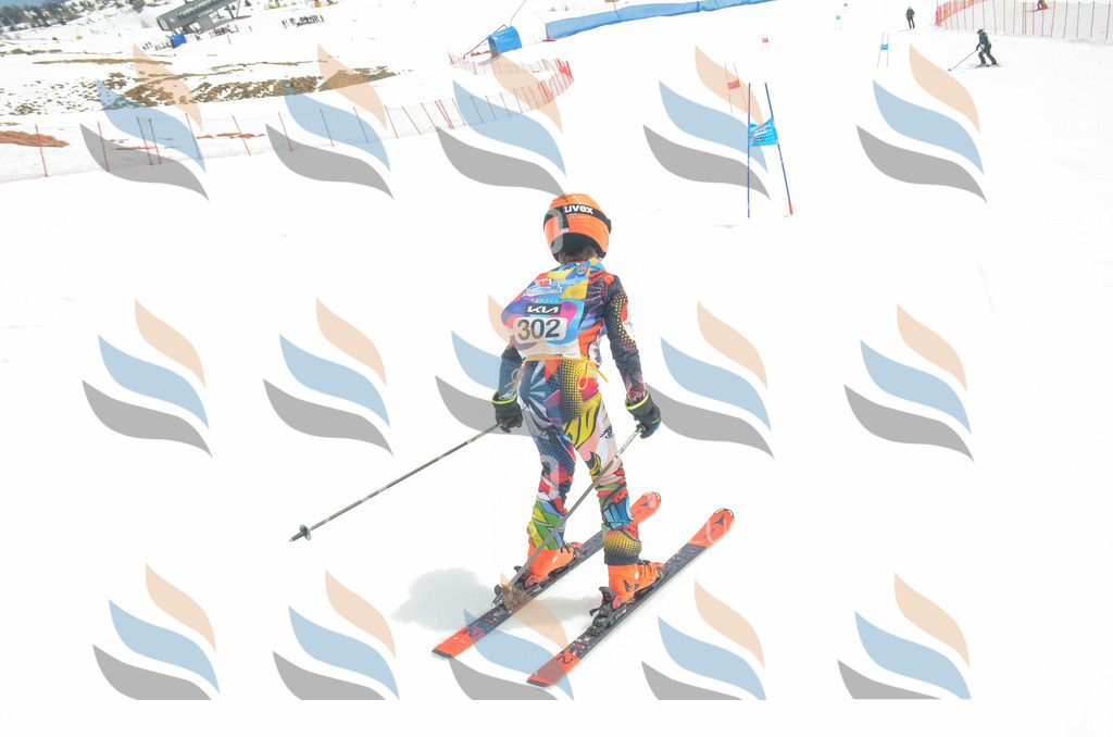 _ELE8269 | holidayphoto