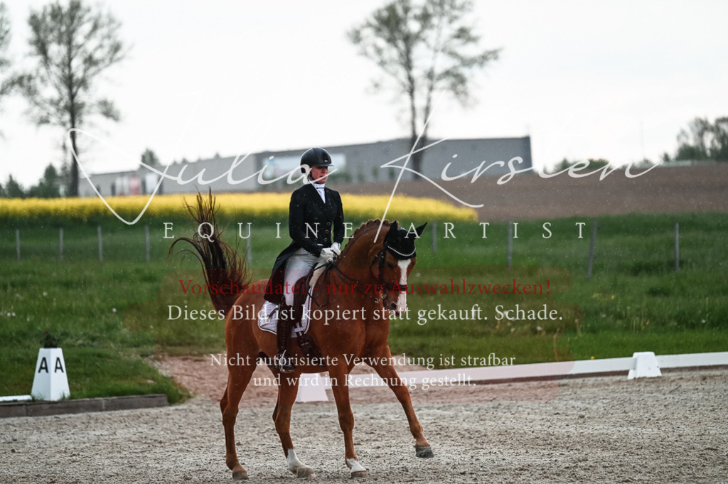 20230514_JK-Röhrsdorf-21-679 | Pferde- und Turnierfotografie in Westsachsen. Pferdeportraits, Auftragszeichnungen und intuitive Kunst.