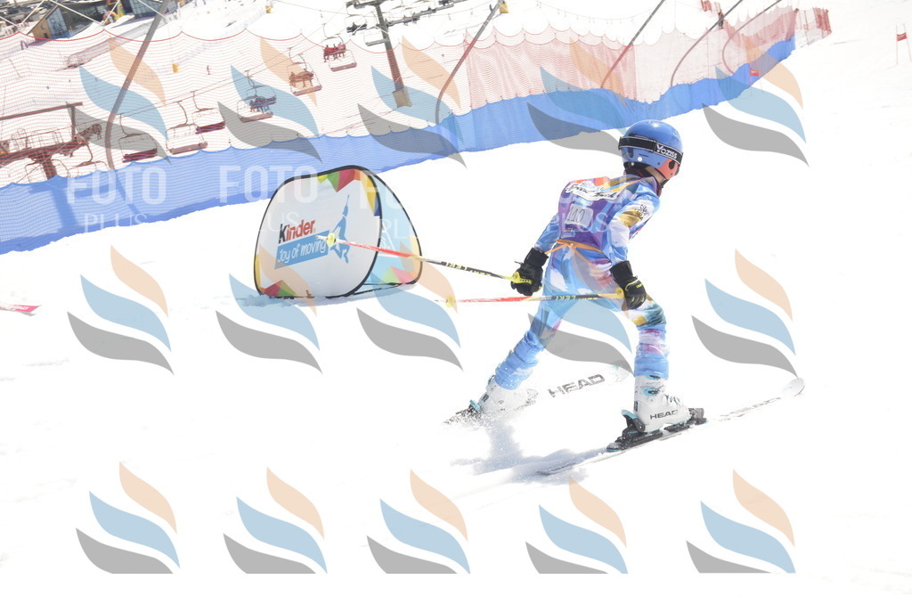 _ELE9471 | holidayphoto