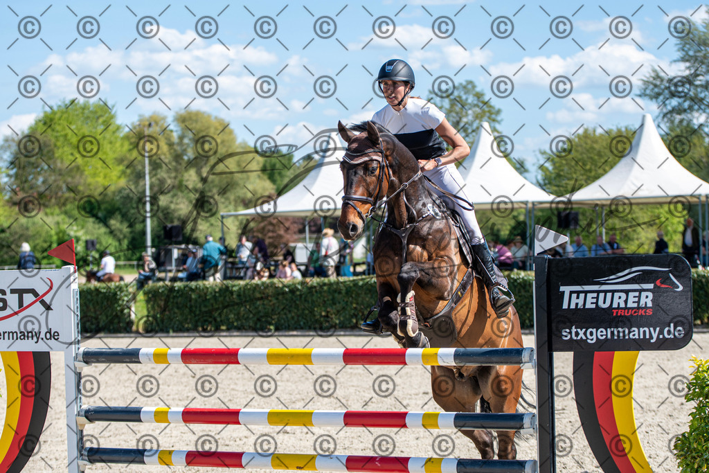 KPT_1355 | andre_photographic