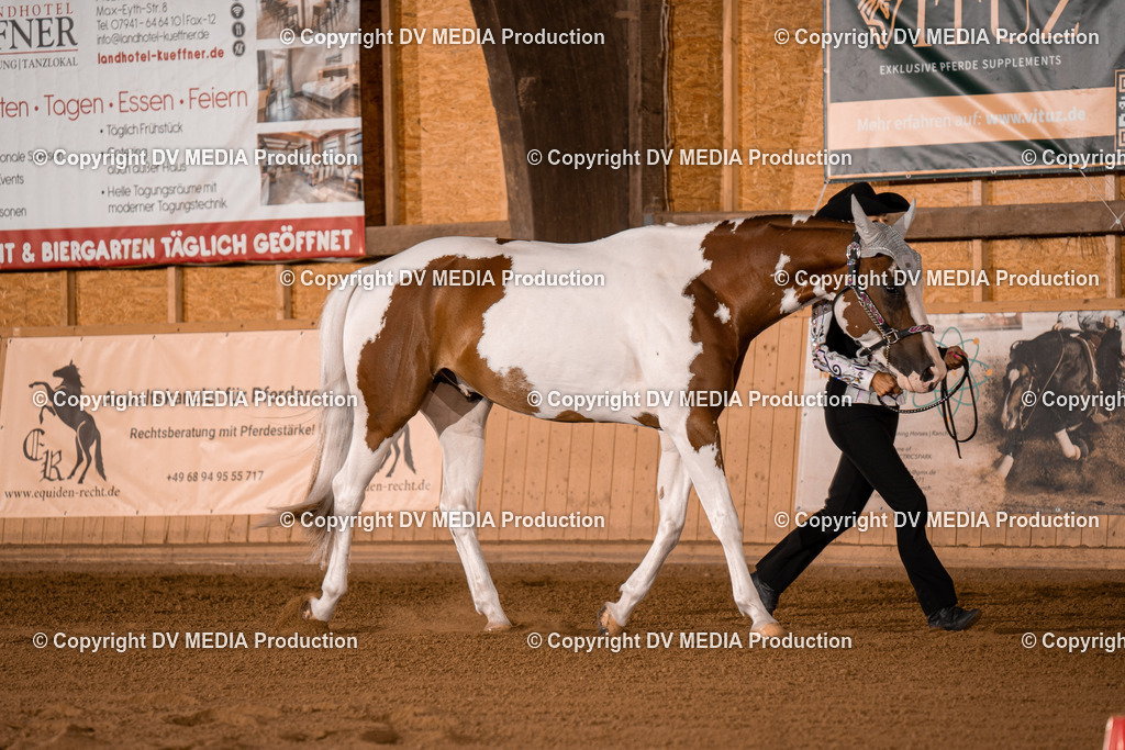 NE100069 | dv-media-shop - Realisiert mit Pictrs.com