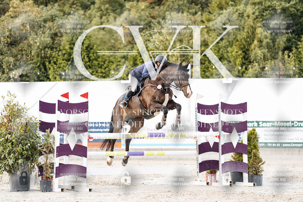 CK903812 | Turnierfotografie Pferdefotografie Trier Rheinland-Pfalz Pferdesport Reitsport Tierfotografie Sportfotografie Pferdevideo Pferdevideografie Equestrianvideography equestrianphotography  - Realisiert mit Pictrs.com
