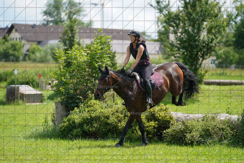 20240622-FAH07580 | Turnierfotografen Bayern, Reitsportbilder aus dem Geländekurs mit Felix Etzel auf dem Gut Waitzacker 2024