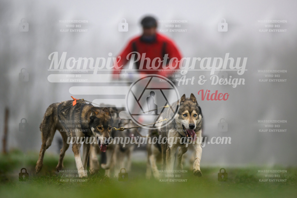 MompixPhotography_CDF2023_FFST_Di_Kart-90 | PayLife