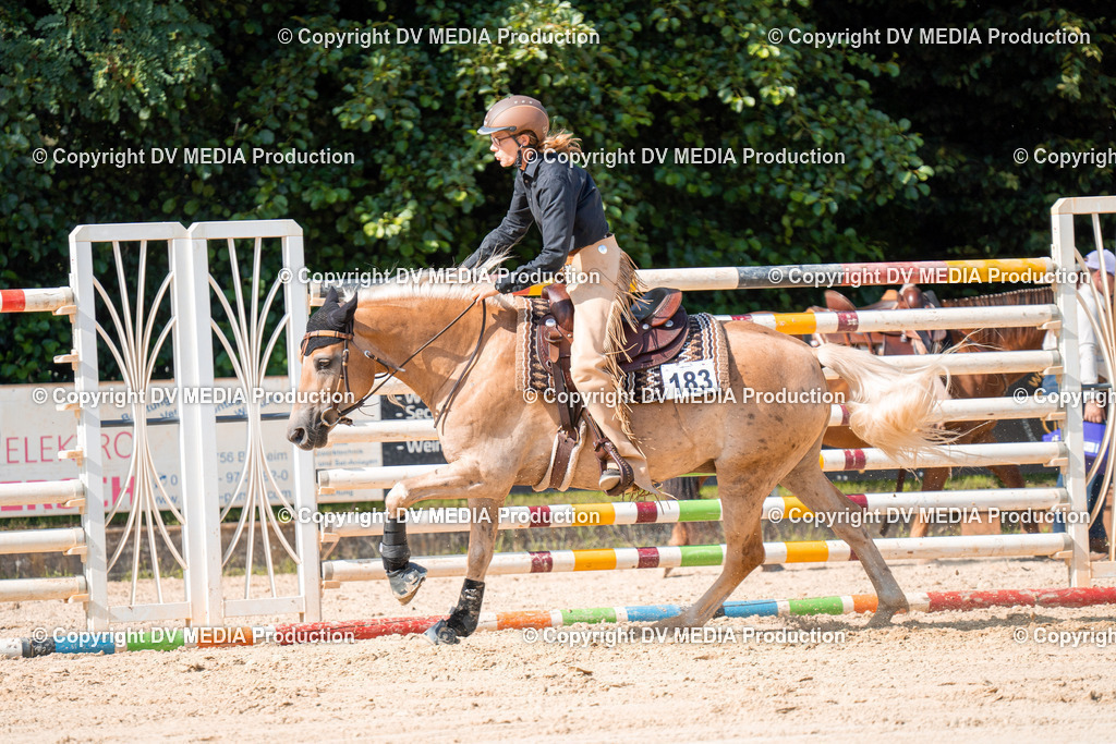 ZH100306 | dv-media-shop - Realisiert mit Pictrs.com