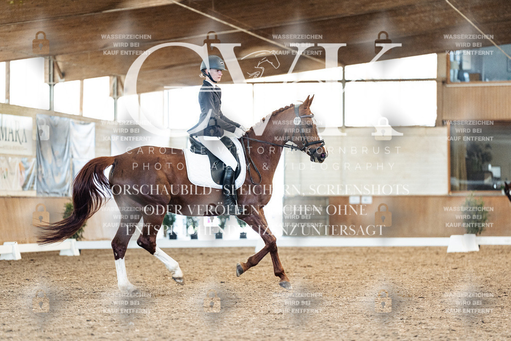 CK908592 | Turnierfotografie Pferdefotografie Trier Rheinland-Pfalz Pferdesport Reitsport Tierfotografie Sportfotografie Pferdevideo Pferdevideografie Equestrianvideography equestrianphotography  - Realisiert mit Pictrs.com