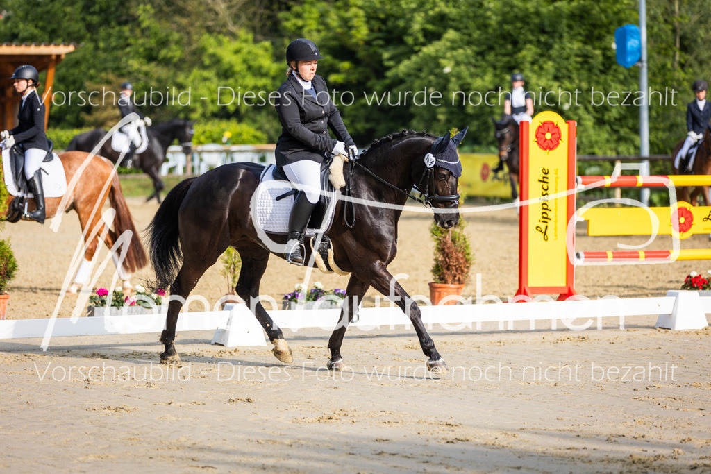 Donop24-A-Dre-006 | MomenTaufnahmen Pferdesportfotos