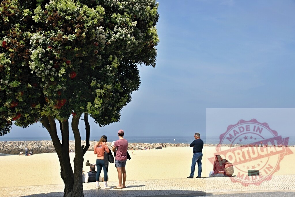 People enjoying summer leisure on sunny beach | People relaxing and strolling along a sun-drenched beach with a flowering tree and ocean view - Realized with Pictrs.com