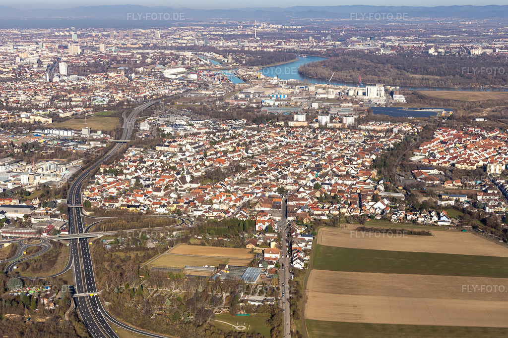 Luftbild: am Rhein im Ortsteil Rheingönheim in Ludwigshafen im Bundesland Rheinland-Pfalz in Deutschland. Foto: IMG_125450.jpg vom 21.02.2021 durch Werner Riehm/FLY-FOTO.de