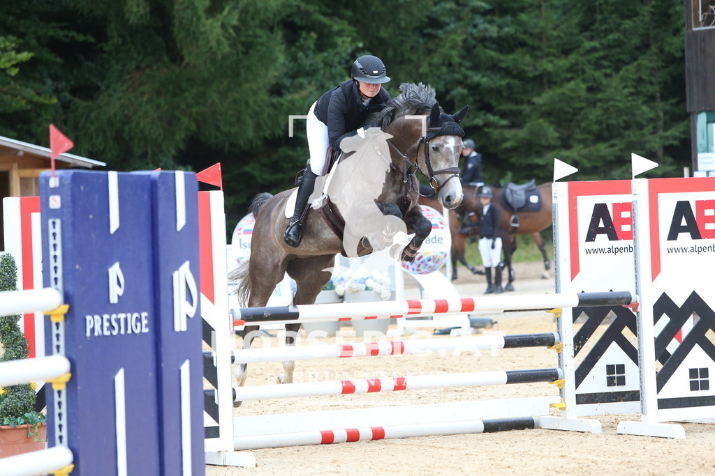 DL2Q4238 | Willkommen bei Brunnmayr - Design & Fotografie – Ihrem Spezialisten für Reitturniere und Pferdeveranstaltungen in Oberösterreich, Salzburg und Bayern! Seit über 17 Jahren sind wir leidenschaftlich dabei.