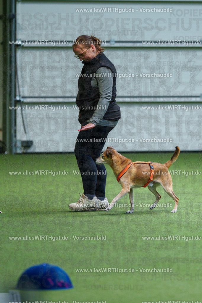 7R506208 | Professionelle Tierfotografie in Mönchengladbach von Daniel Wirth (allesWIRTHgut). Liebevolle & natürliche Bilder von Hunden & Katzen für unvergessliche Erinnerungen.