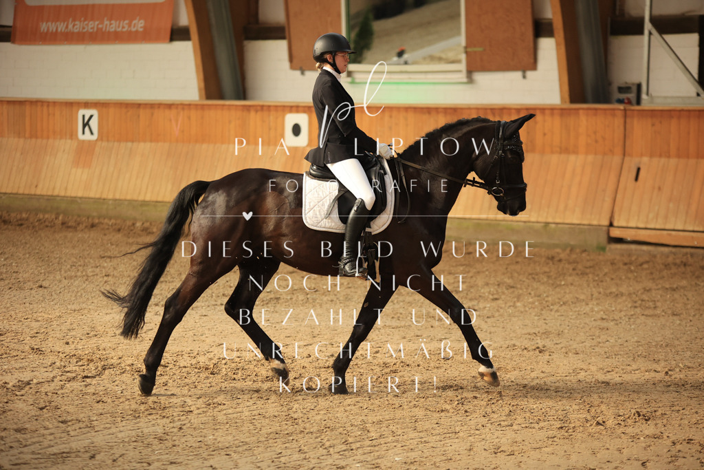 IMGT1669 | pl-fotografie