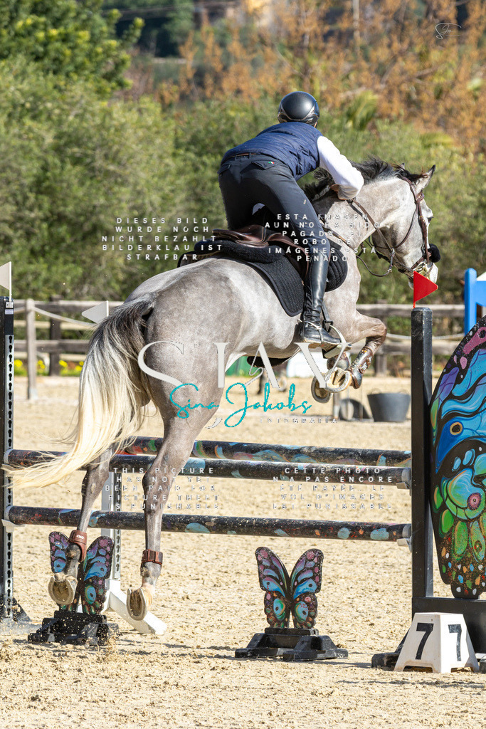 IMG_4116 | s-jay-photography - Realisiert mit Pictrs.com