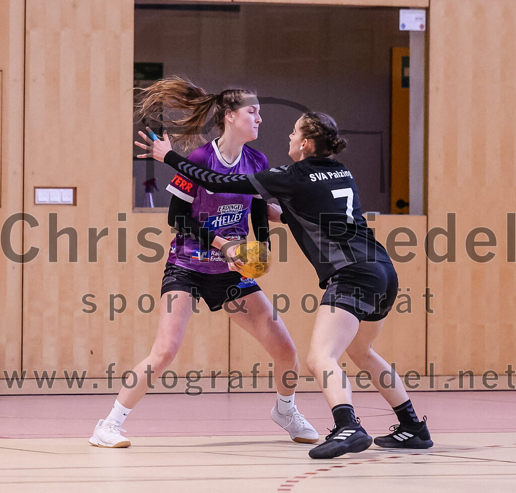 2024-12-14_076_SpVgg_Altenerding_gegen_SVA_Palzing | Erding, Deutschland, 14.12.2024:Handball, Bezirksoberliga Frauen Altbayern 2024 / 2024, 9. Spieltag, SpVgg Altenerding gegen SVA Palzing, Endergebnis: 20:30Paula Forster (SVA Palzing, #7)Foto: Christian Riedel / fotografie-riedel.net