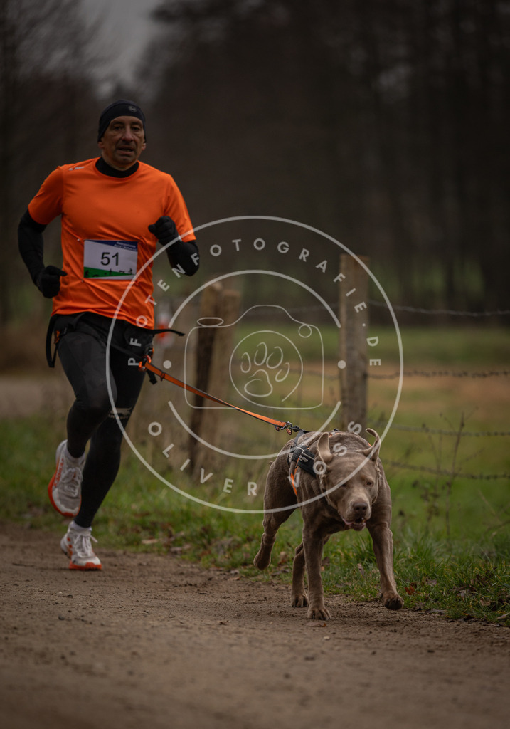 Pfotenfotografie_DV3A2868 | Hundefotografie, Tierfotograf, Pfotenfotografie, Fotoshooting Hund, Hunde Portrait, Hundesport, Hundeportraits, Heideshooting, Hunde, Sportfotograf, Hundefotograf, Turnierhundsport, THS,  - Realisiert mit Pictrs.com