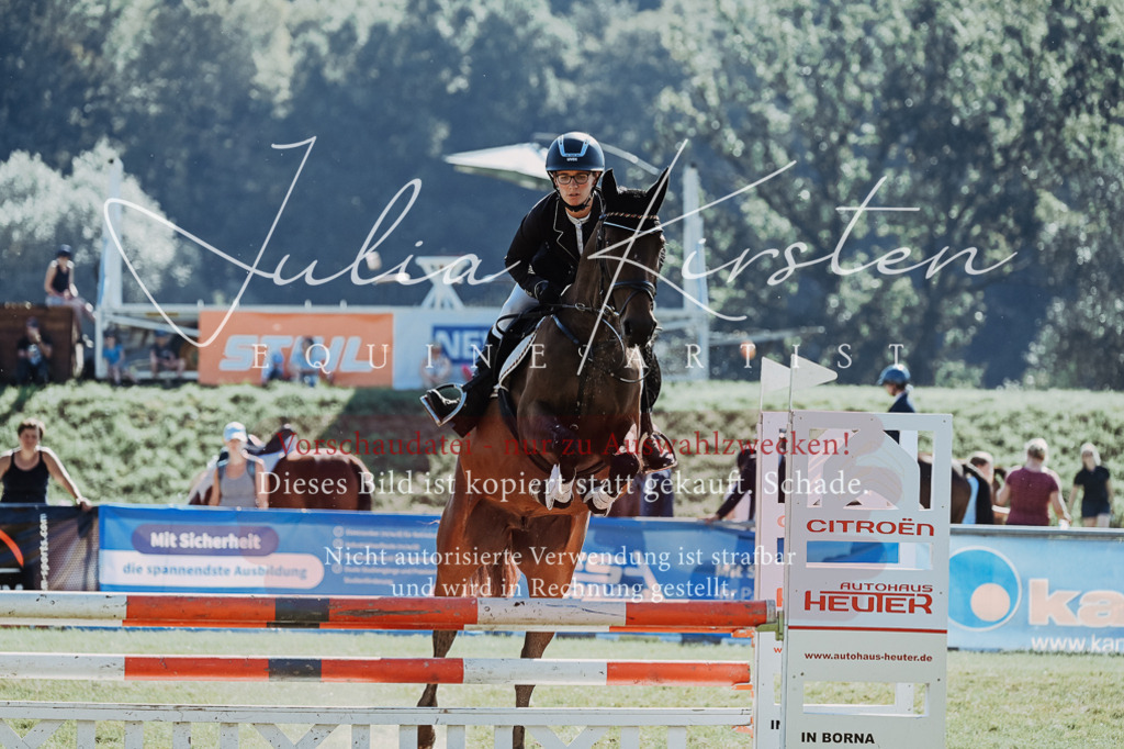 DSC_5575 | Pferde- und Turnierfotografie in Westsachsen. Pferdeportraits, Auftragszeichnungen und intuitive Kunst.