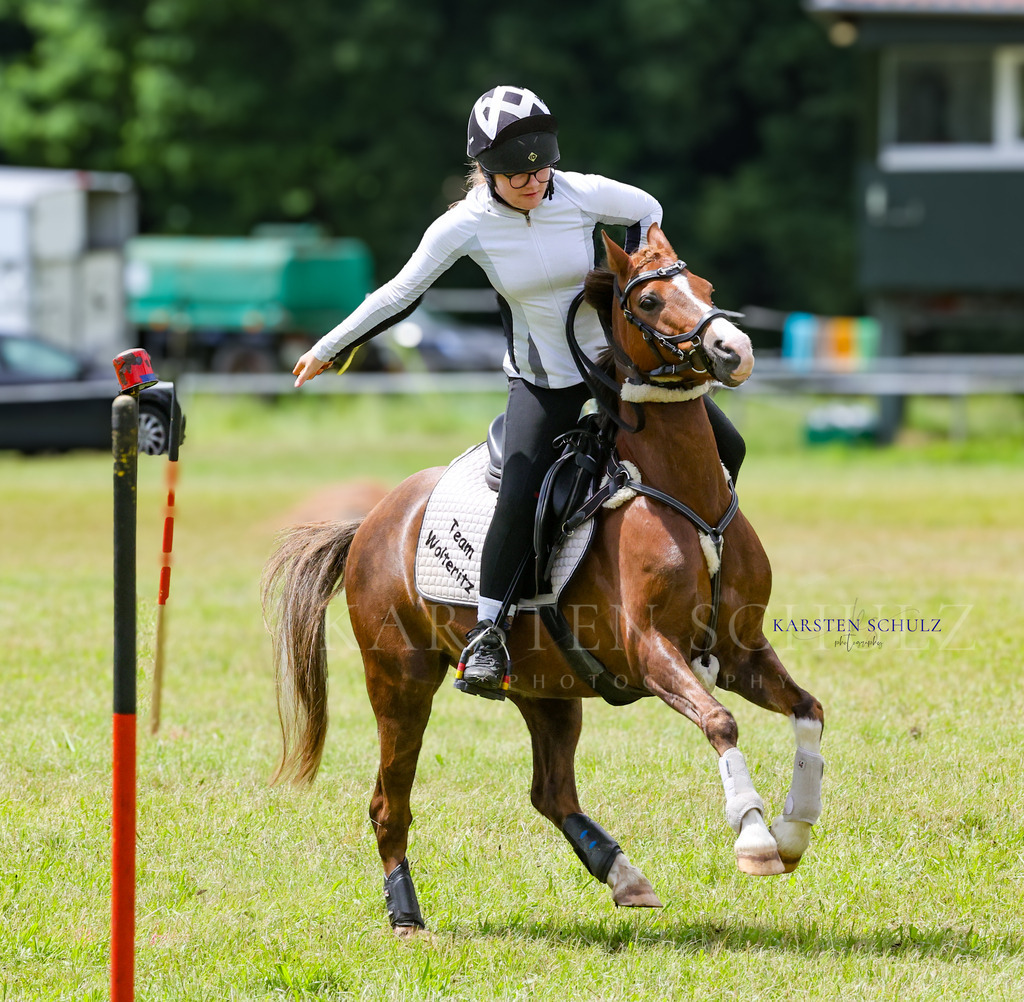 1B3A1126 | Reitsport Reiten