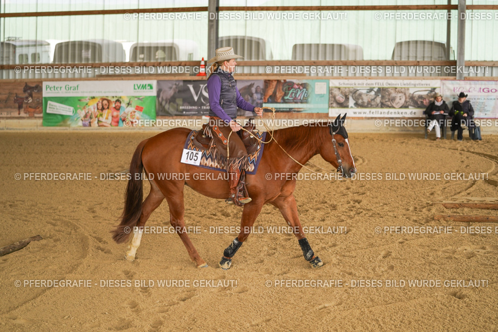 DSC01248 | Pferdegrafie