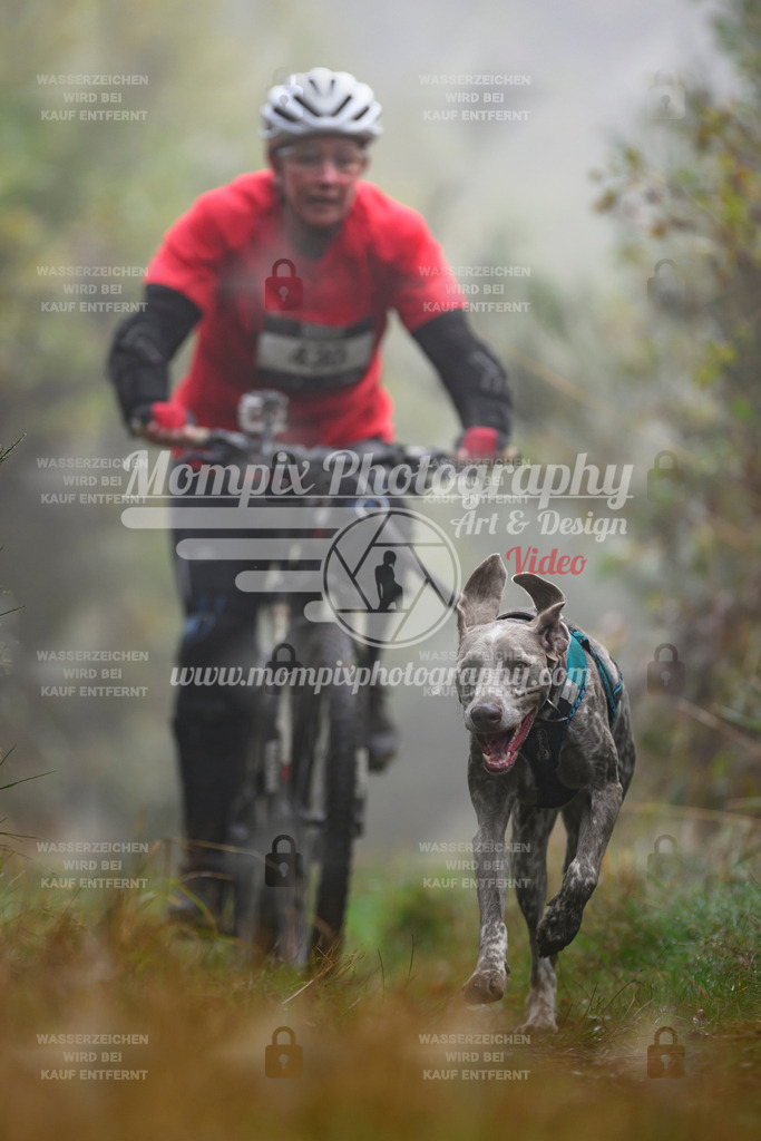 MompixPhotography_20TSB_E4_Bike-159 | PayLife