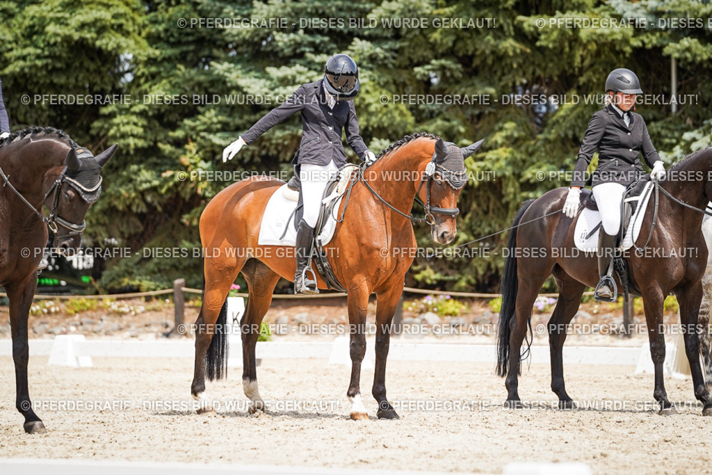 DSC03575 | Pferdegrafie