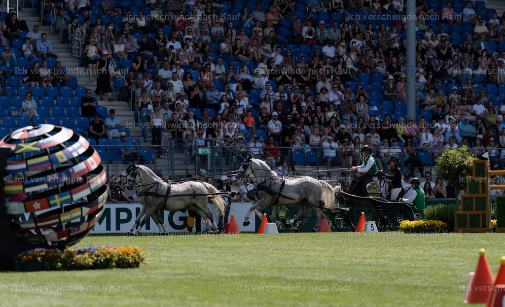 TSCHIO26_JandD_Stoibphotography_DSC7316.jpg | working equitationturnier fotograf videograf stoibphotography marixx film working equitation deutschland reitsport turnierfotografie eventfotografie equestrian events