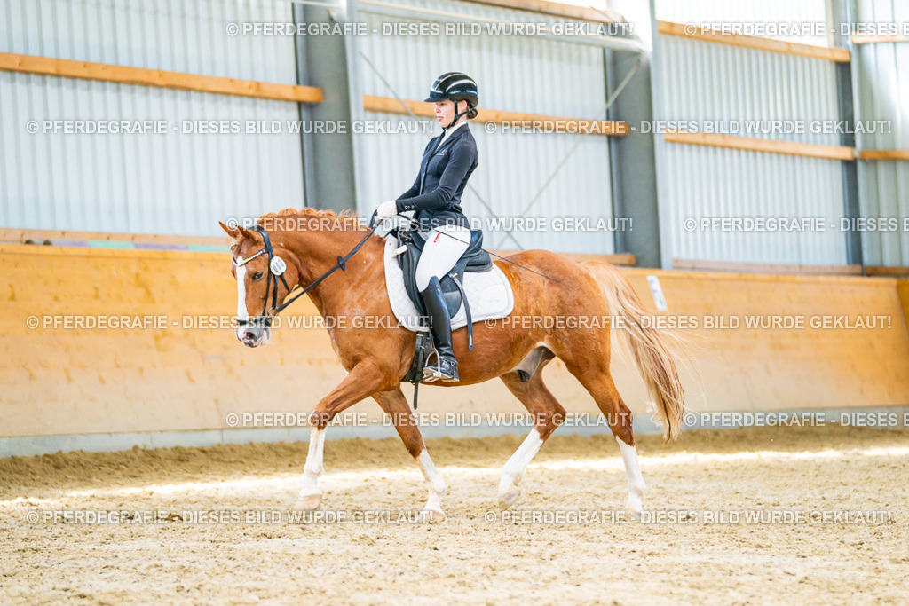 DSC08157 | Pferdegrafie