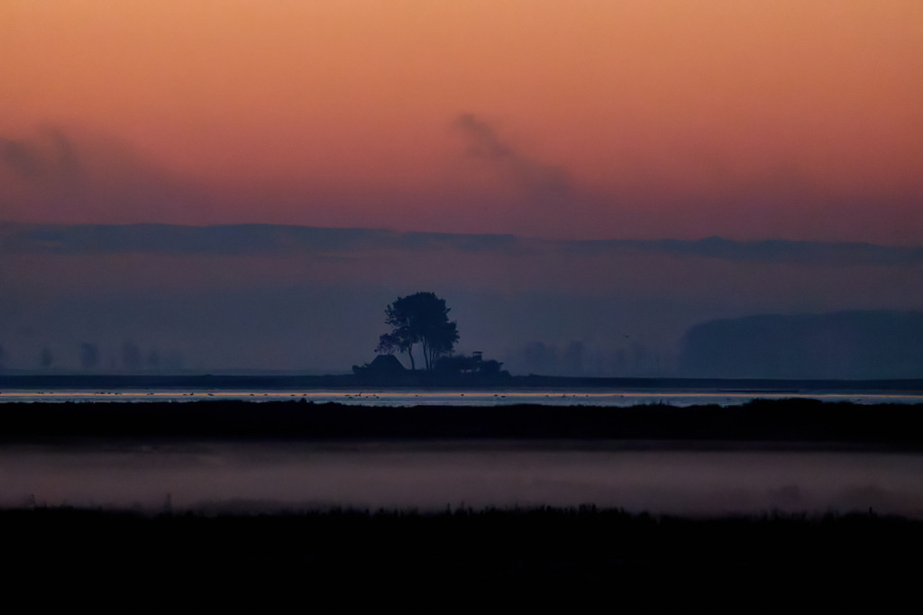 Bodden am Morgen | kleinen-fotografie