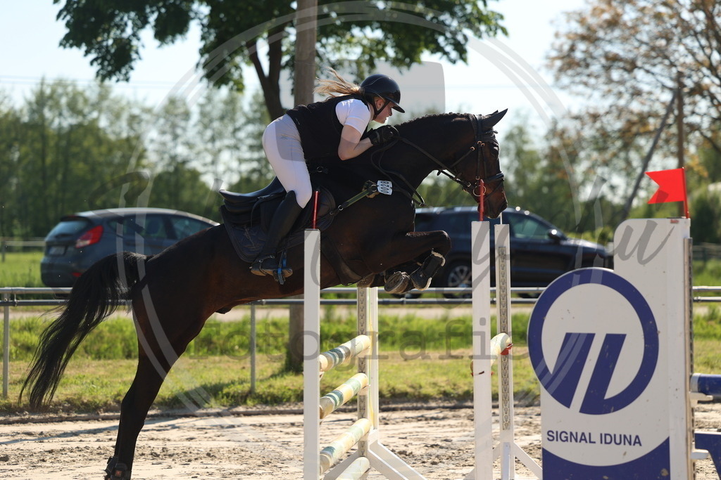 994A6115 | sabrinanicolaifotografie - Realisiert mit Pictrs.com