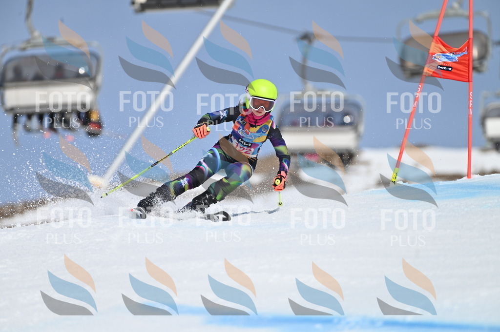 BGV_9838 | holidayphoto