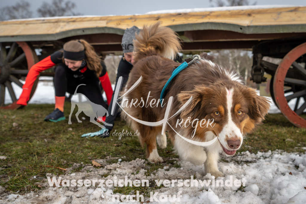 0932_ZZ90724 | kk-dogfotos