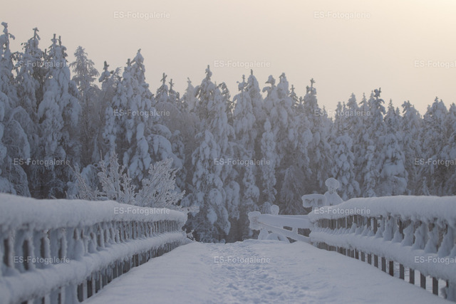 Verschneite Brücke im Winterwald