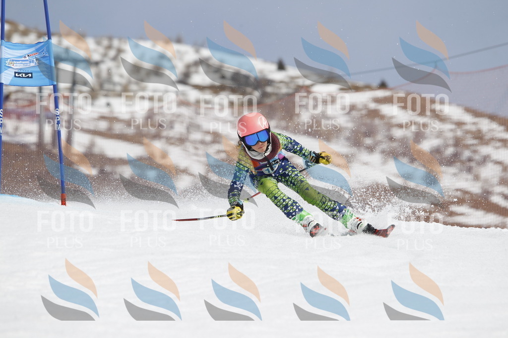 _U3G1797 | holidayphoto