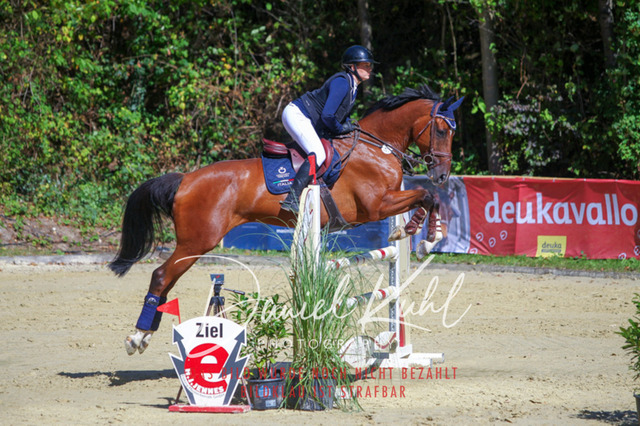 DKP43147 | Turniersportfotografie; Pferdefotografie; Dressurfotografie