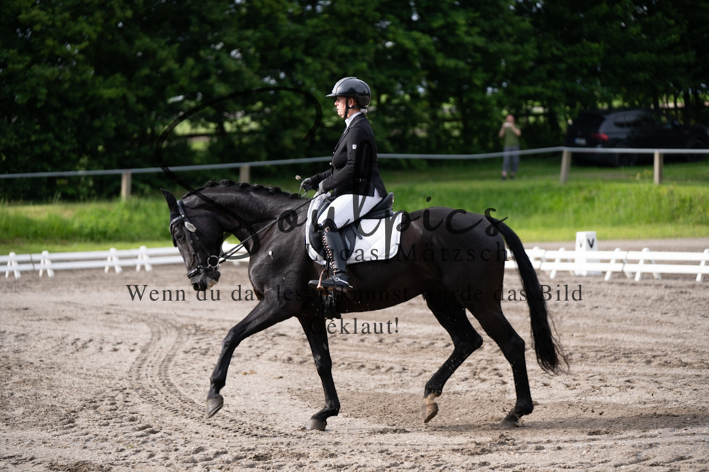 A7V03690 | Pferdefotograf