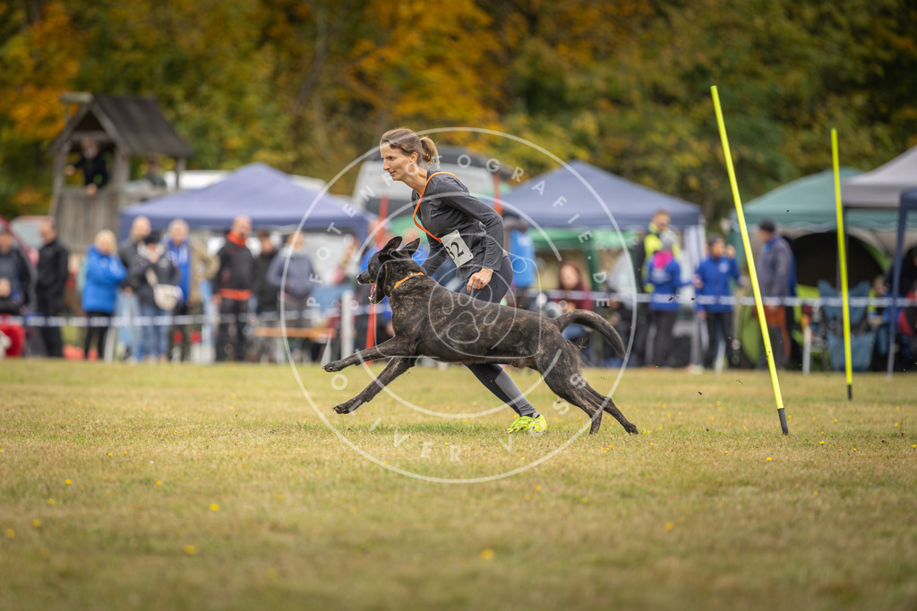Pfotenfotografie_DV3A4237 | Hundefotografie, Tierfotograf, Pfotenfotografie, Fotoshooting Hund, Hunde Portrait, Hundesport, Hundeportraits, Heideshooting, Hunde, Sportfotograf, Hundefotograf, Turnierhundsport, THS,  - Realisiert mit Pictrs.com