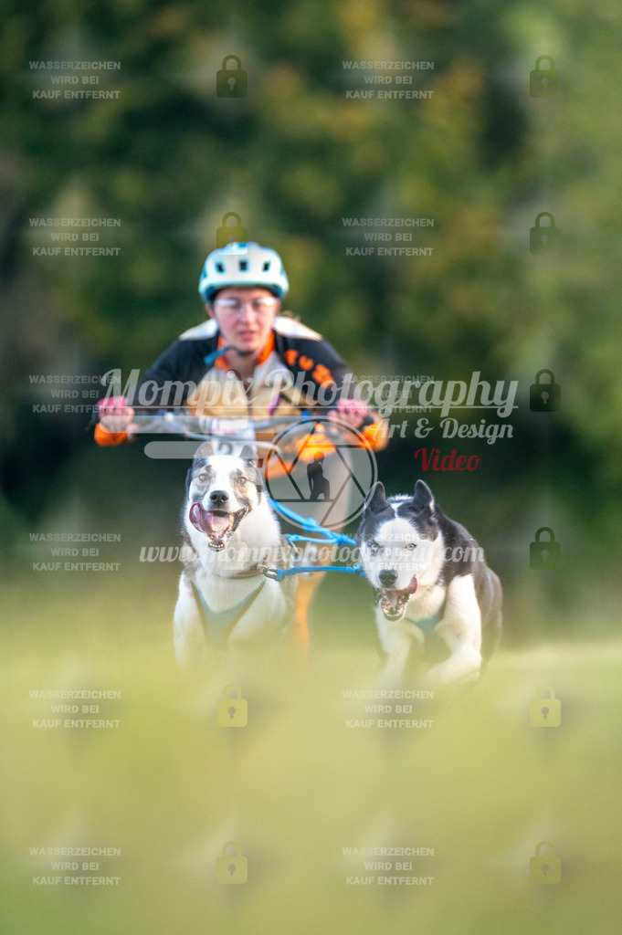 CDLBDB_15_10_2023_Dimanche-52 | mompixphotography