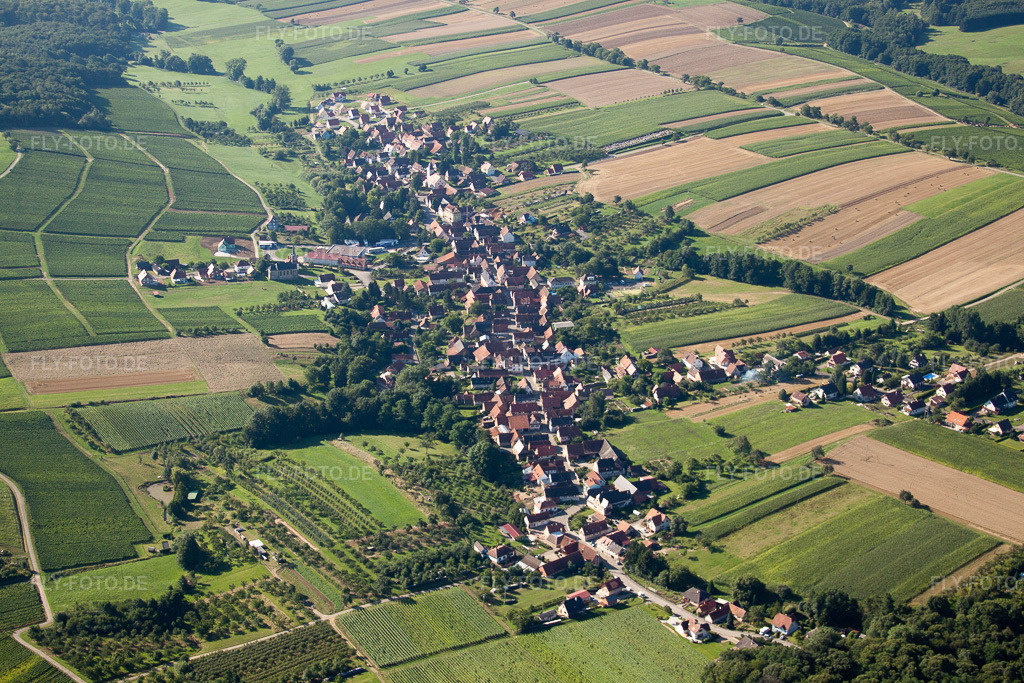 Luftbild: Dorfansicht in Cleebourg im Bundesland Bas-Rhin in Frankreich. Foto: IMG_31101.jpg vom 07.08.2010 durch Werner Riehm/FLY-FOTO.de