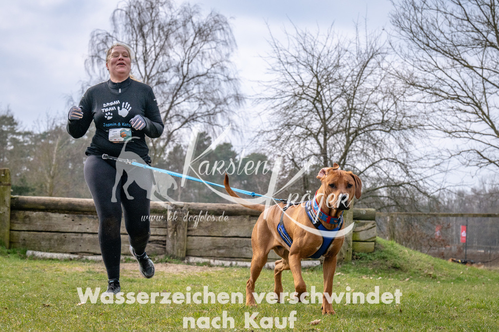 _ZZ92868 | kk-dogfotos