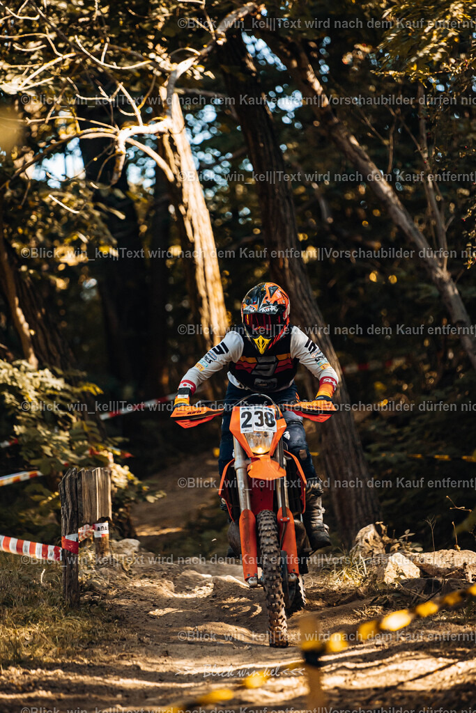 E68A5537 | blick_win_kel