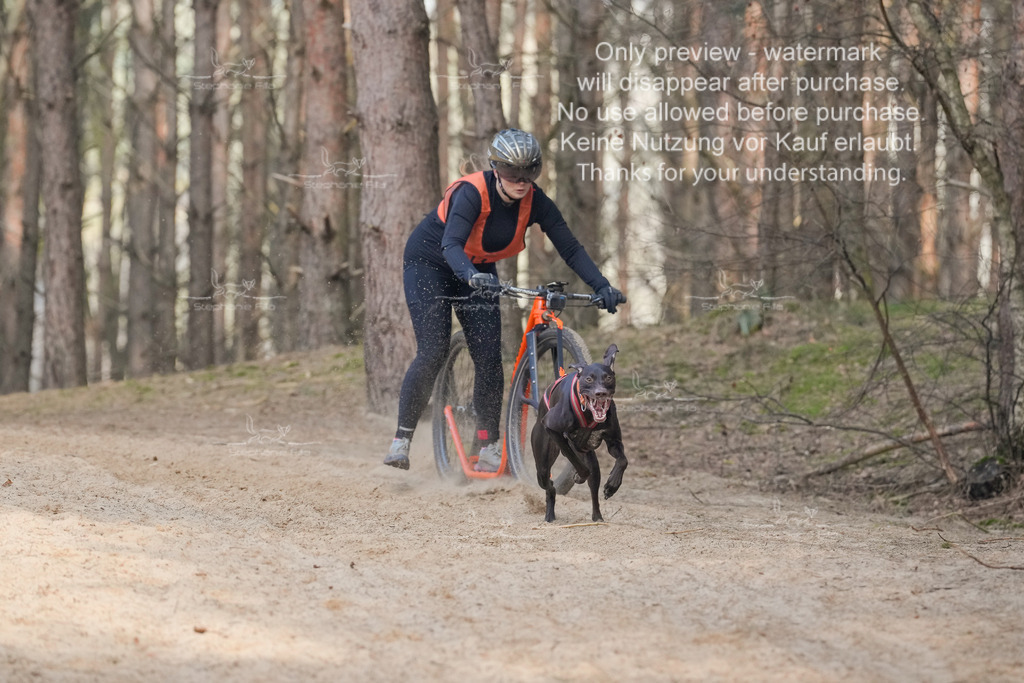 Scooter2-26 | stephaniefillaphotographie - Realisiert mit Pictrs.com