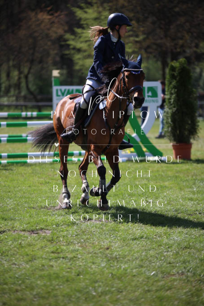 IMGT5645 | pl-fotografie